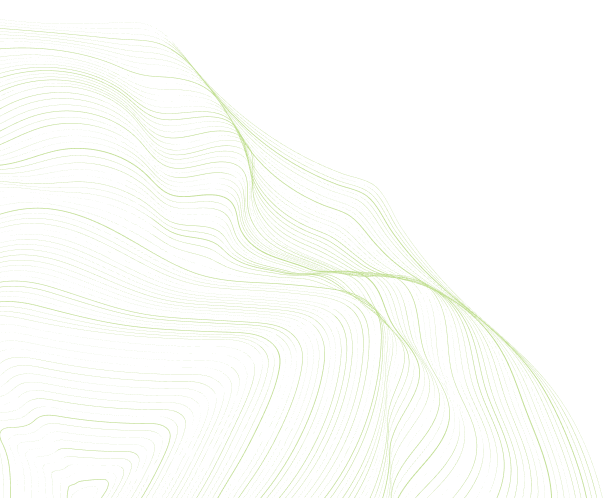 footer decorative shape